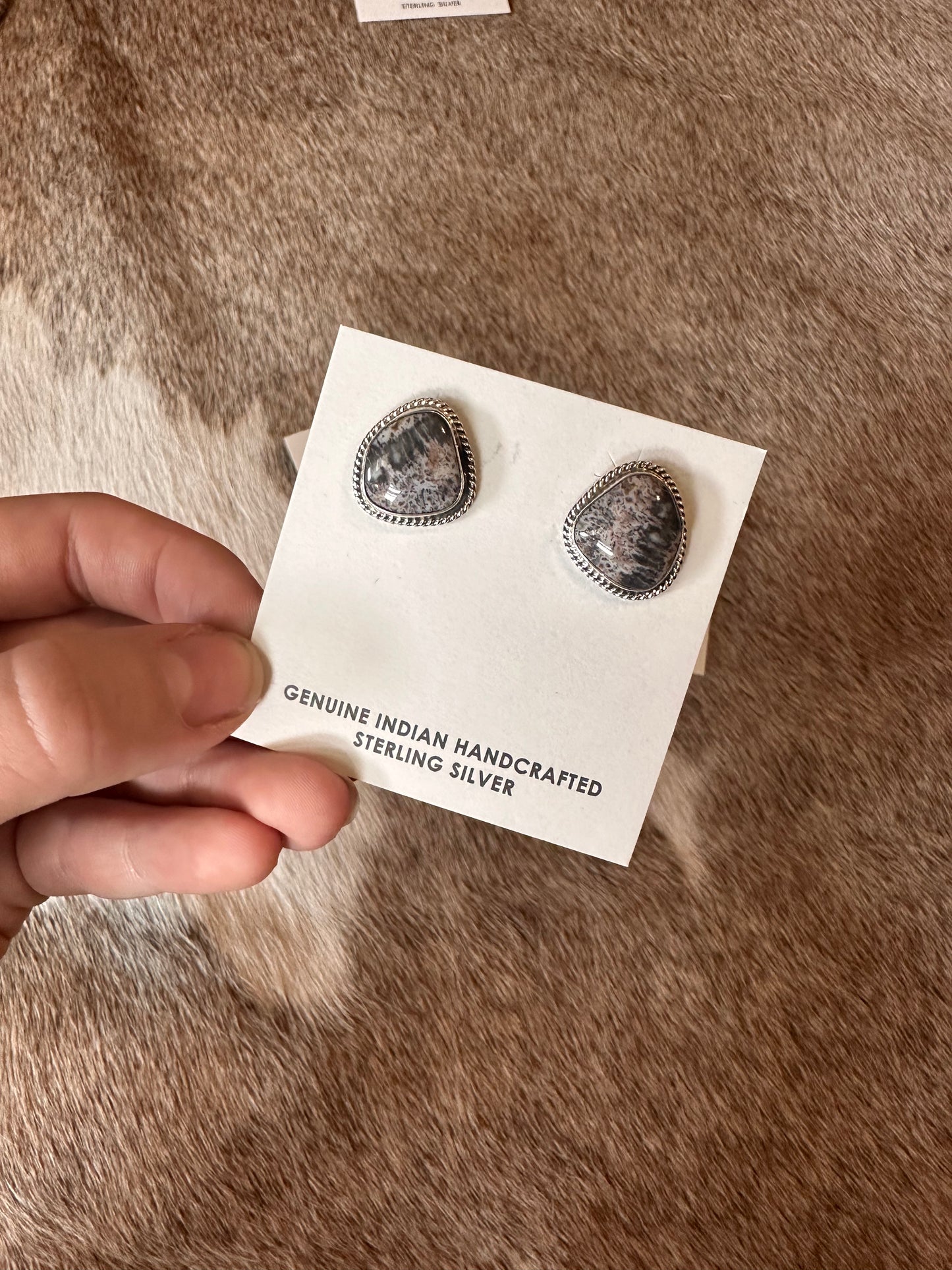 Ocean Jasper Earrings