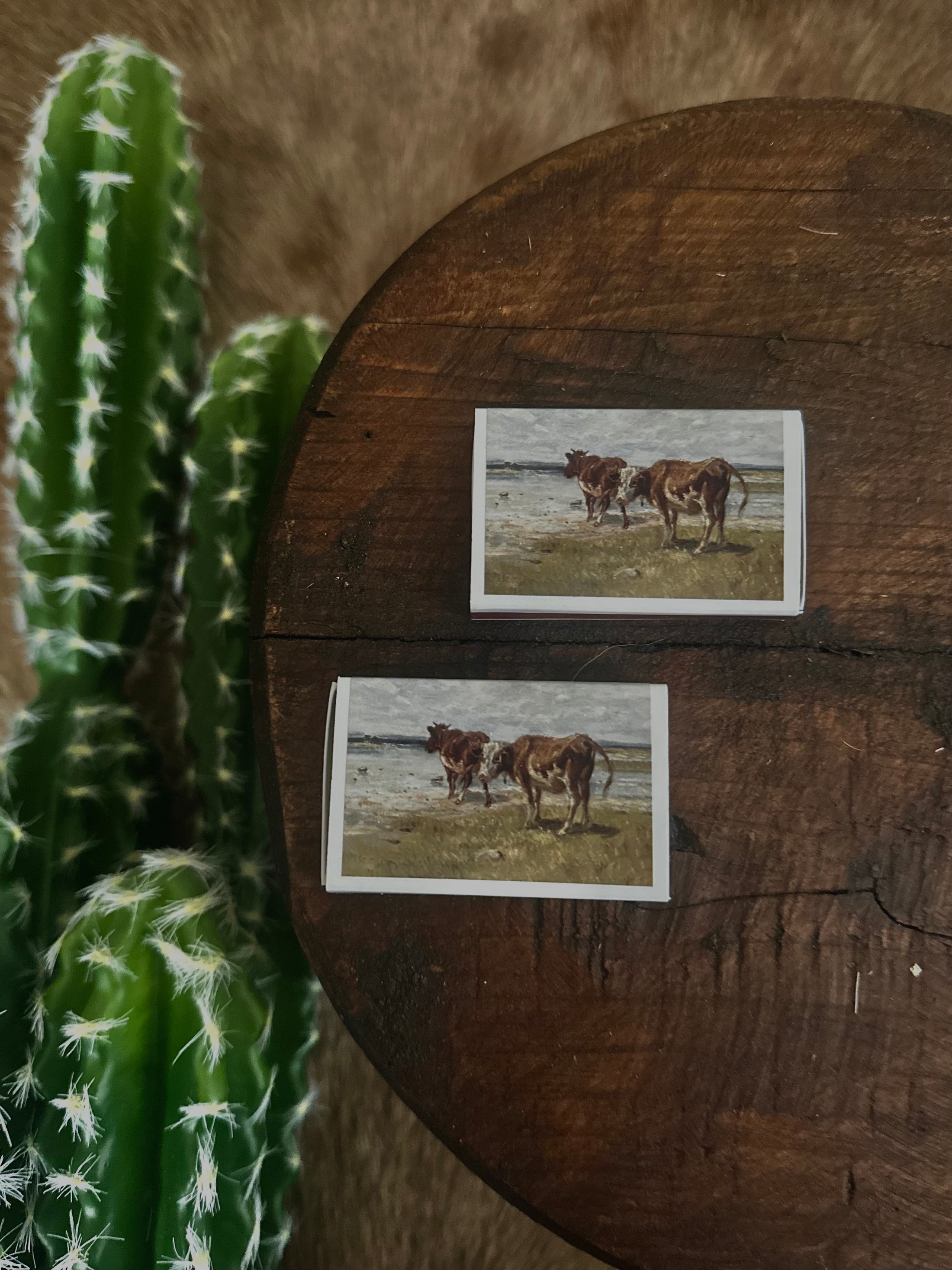 Vintage Cattle Landscape Matches