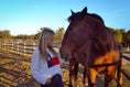 Load image into Gallery viewer, Texas Flag Lightweight Sweater
