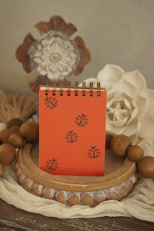 Ladybug Mini Jotter Notebook