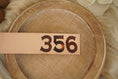 Load image into Gallery viewer, 356 - Proverbs 3:56 Leather Burned Bookmark
