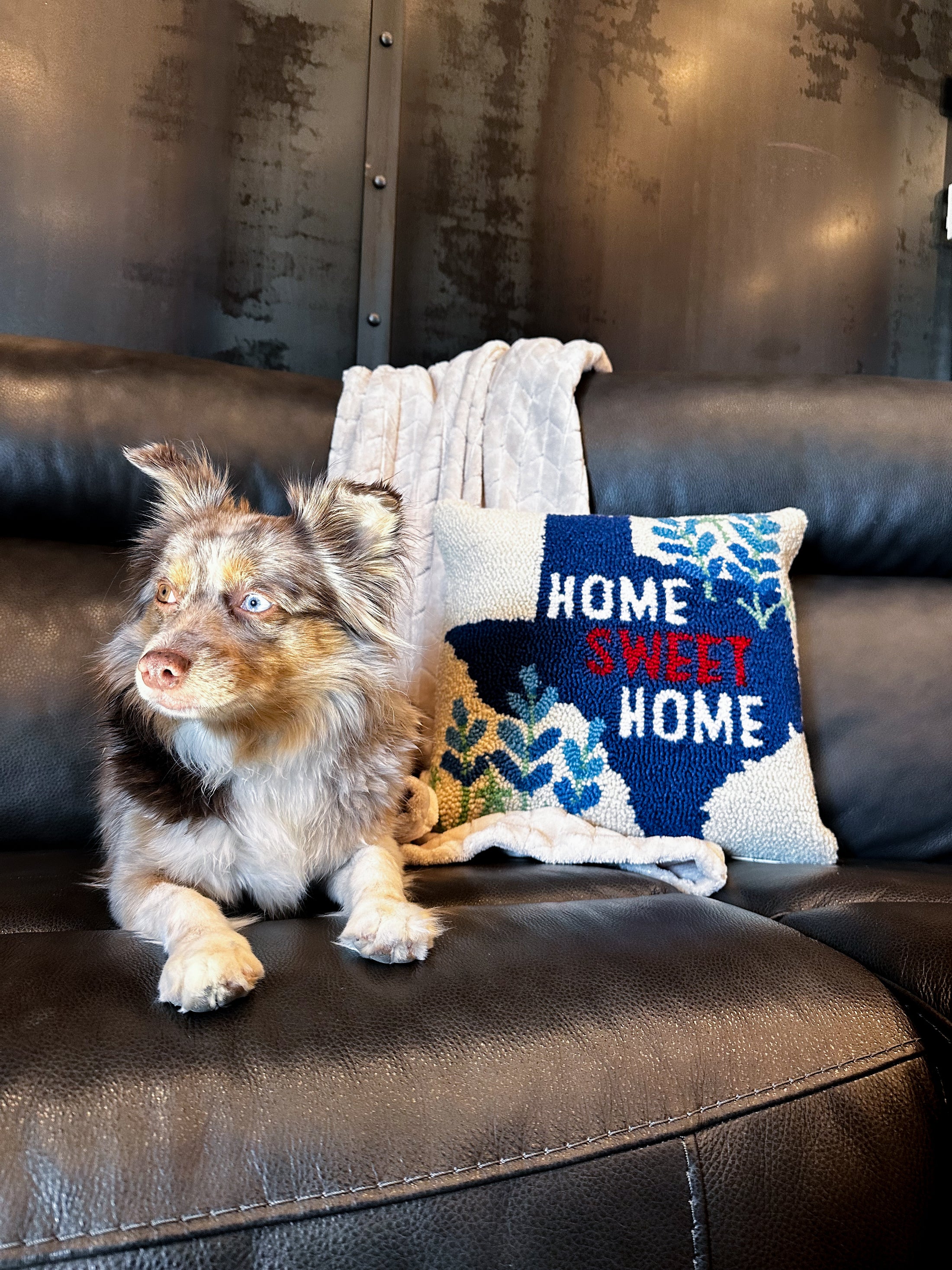 Home Sweet Home Hook Pillow